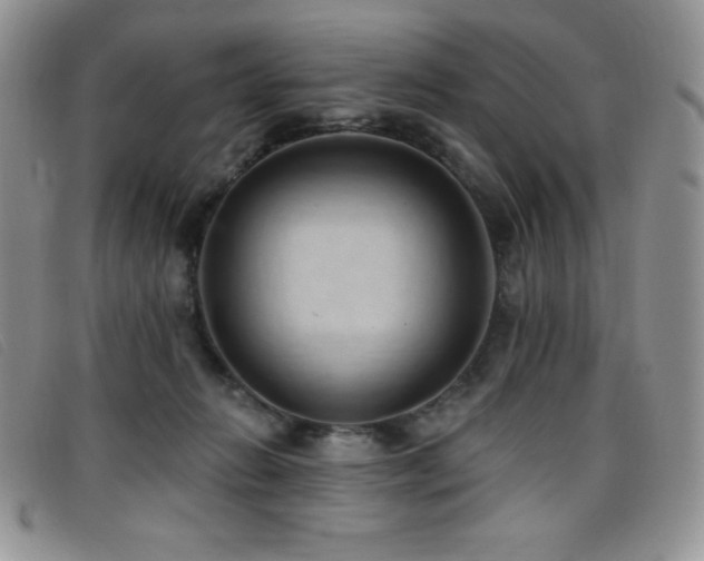 X0000096680270200802051252