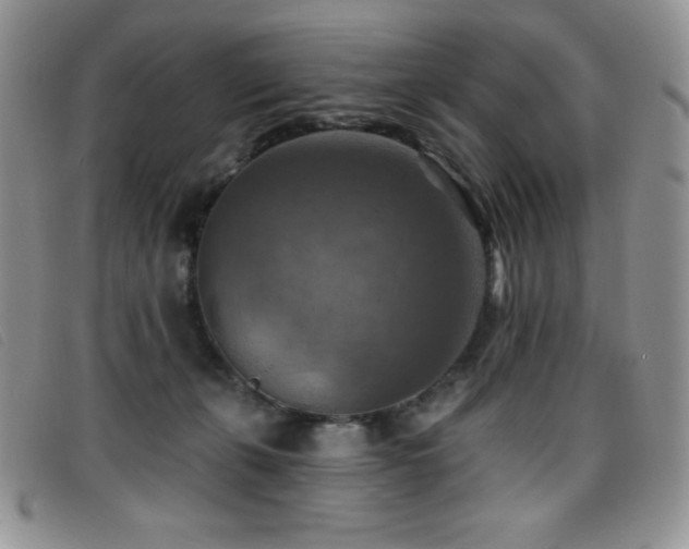 X0000096680271200802051252
