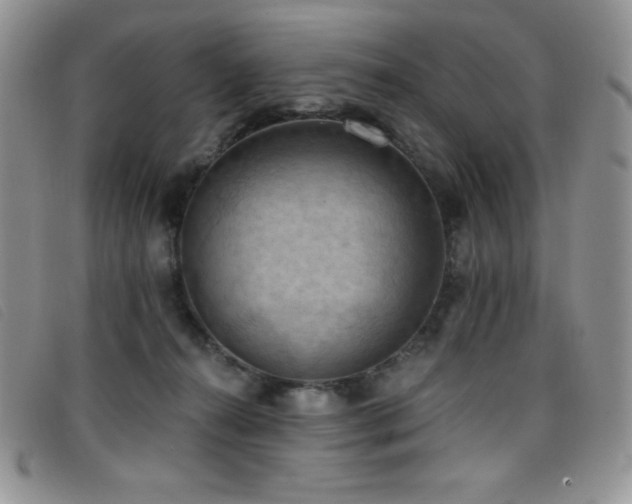 X0000096680272200802051252