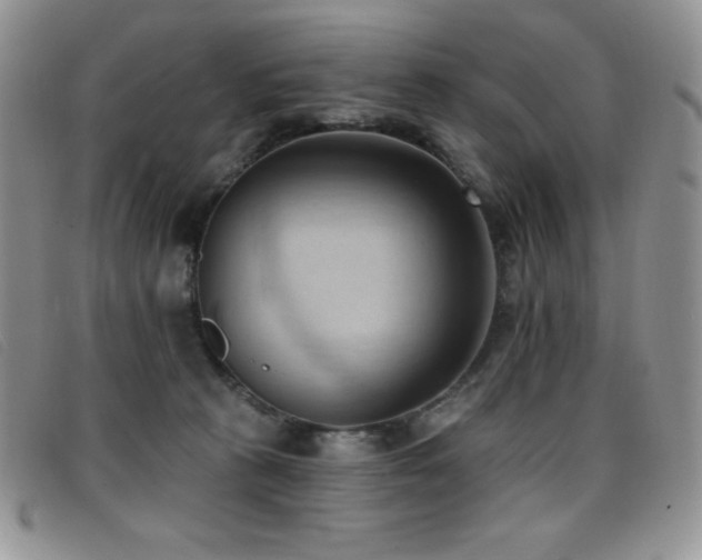 X0000096680273200802051252