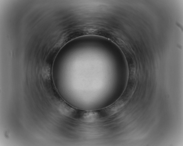 X0000096680274200802051252