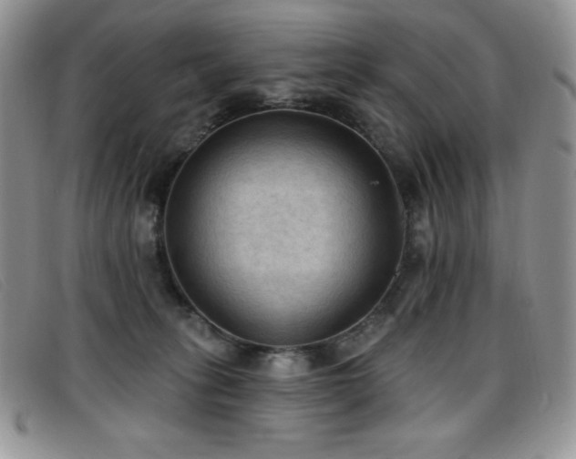 X0000096680275200802051252