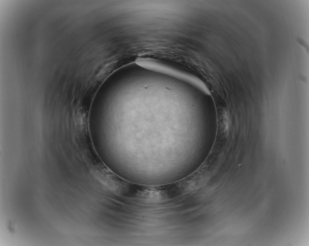 X0000096680276200802051252