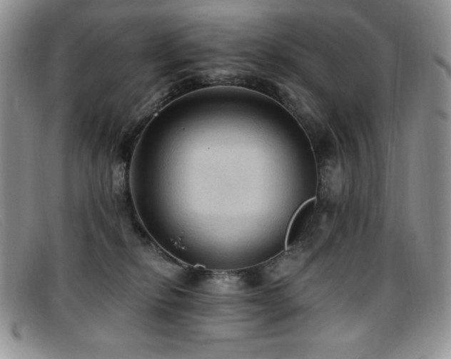 X0000096680278200802051252