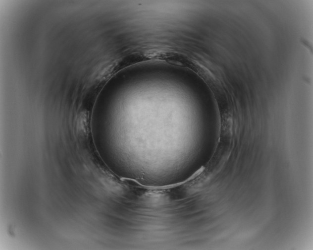 X0000096680280200802051252