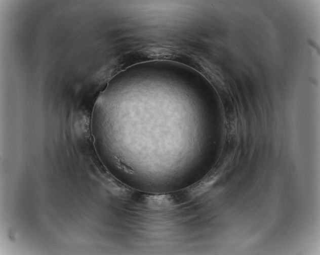 X0000096680281200802051252