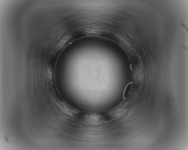 X0000096680282200802051252