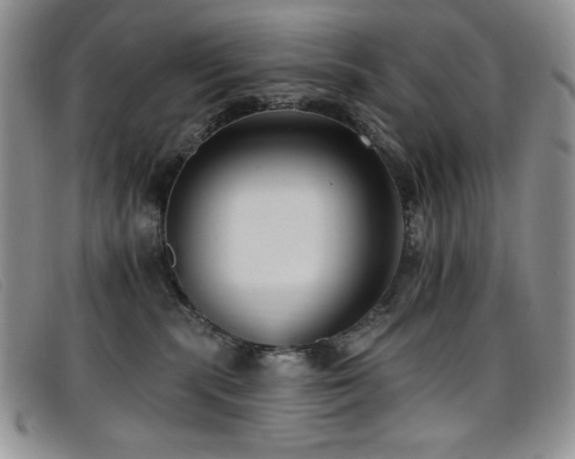 X0000096680283200802051252