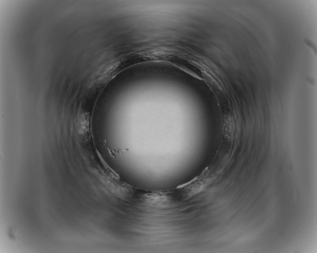 X0000096680284200802051252