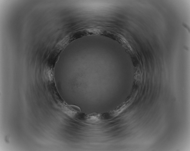 X0000096680285200802051253