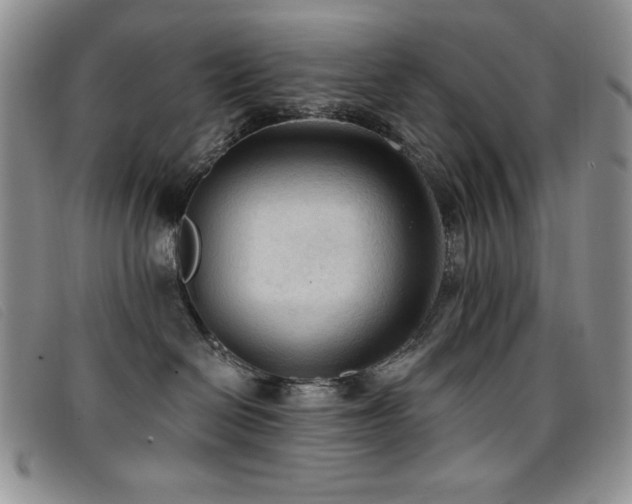 X0000096680286200802051253