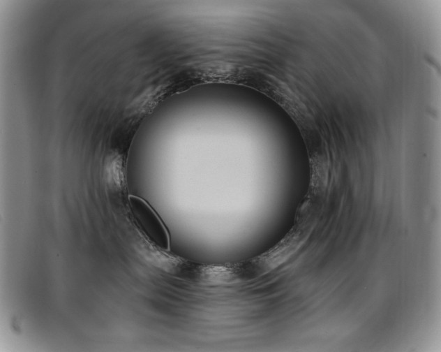 X0000096680287200802051253