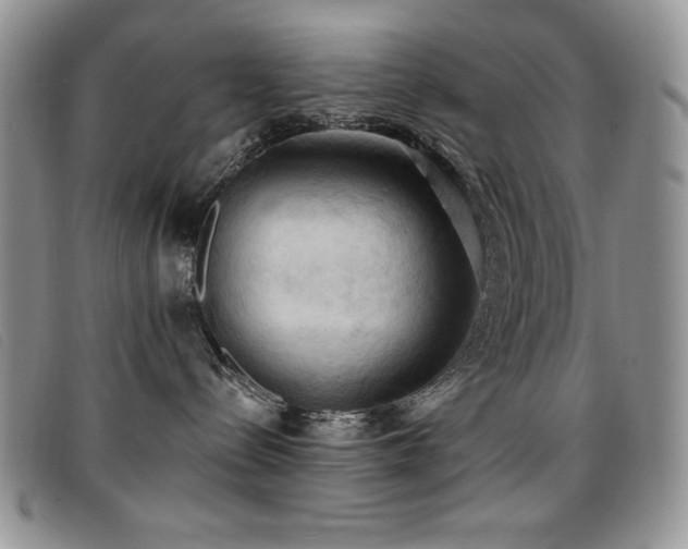X0000096680288200802051253