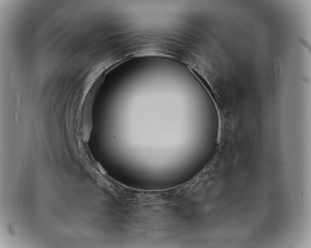 X0000096680289200802051252