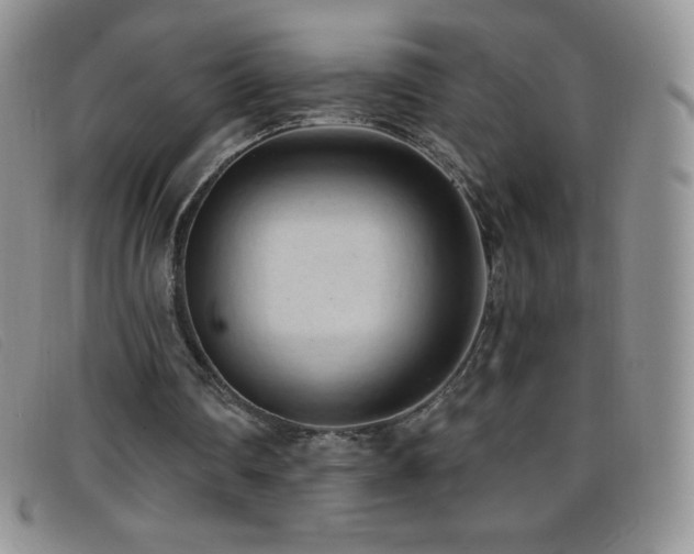 X0000096680290200802051252