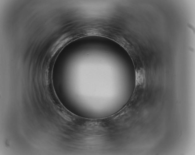 X0000096680291200802051252