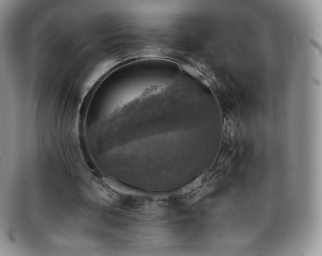 X0000096680292200802051252
