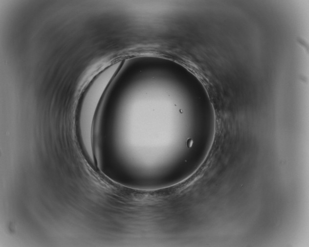 X0000096680293200802051252