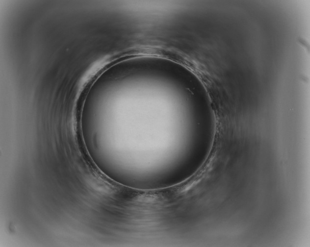 X0000096680294200802051252