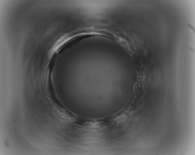 X0000096680295200802051252