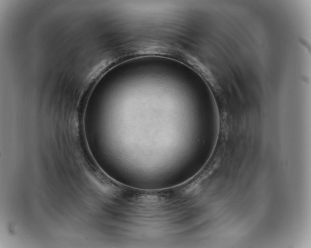 X0000096680298200802051252