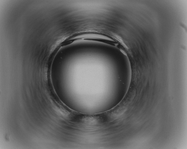 X0000096680299200802051252