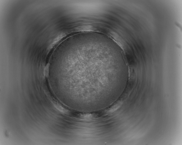 X0000096680301200802051252