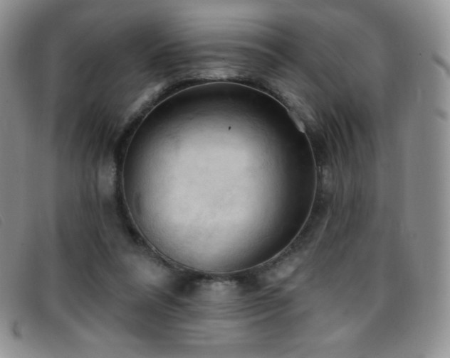 X0000096680304200802051252