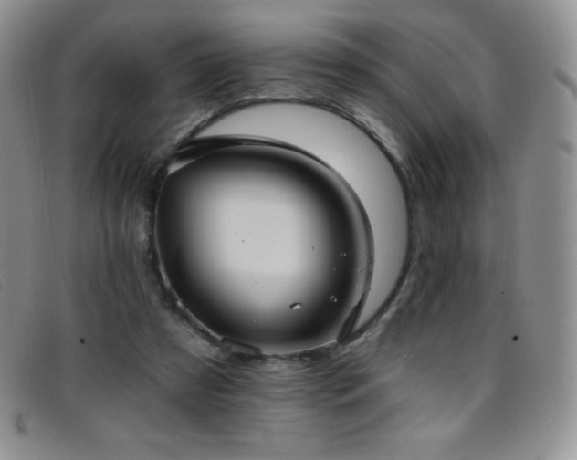 X0000096680305200802051252