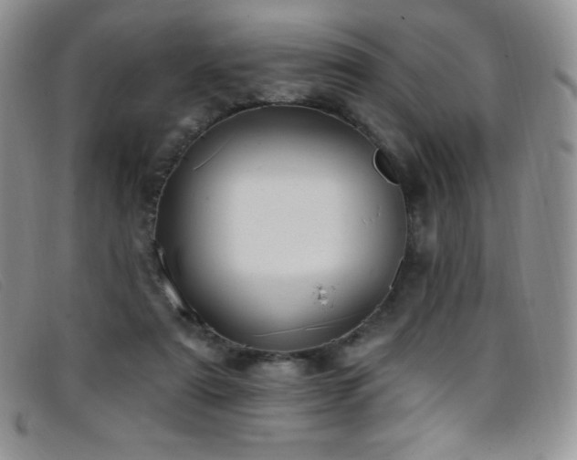 X0000096680307200802051252