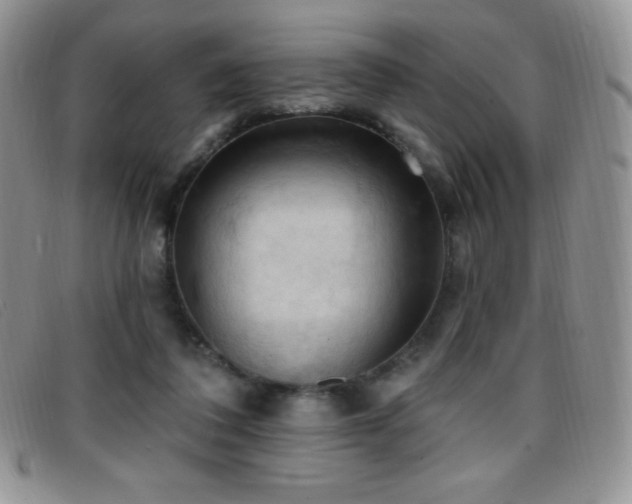 X0000096680308200802051252