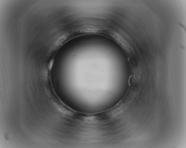X0000096680309200802051252