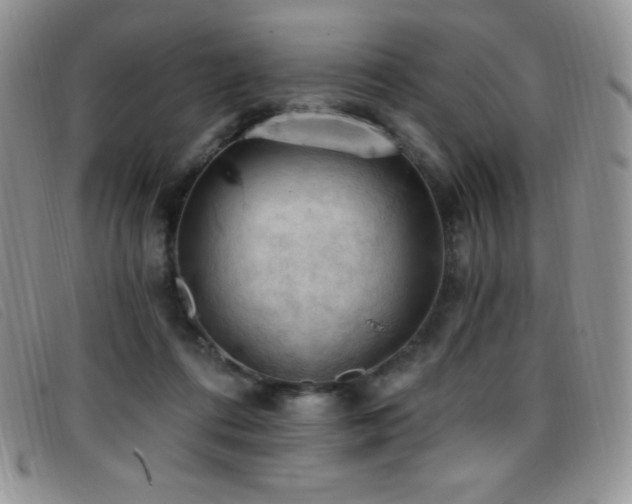 X0000096680312200802051252
