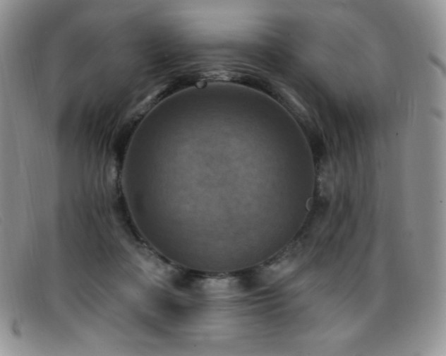 X0000096680314200802051252