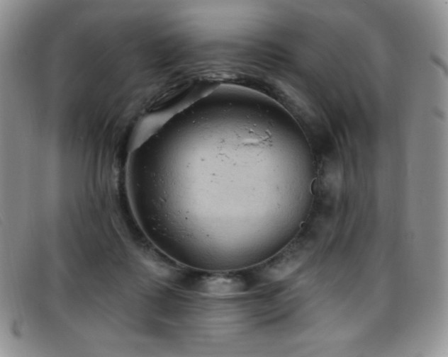X0000096680315200802051252