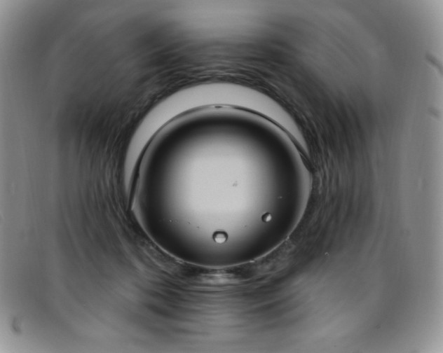 X0000096680316200802051252