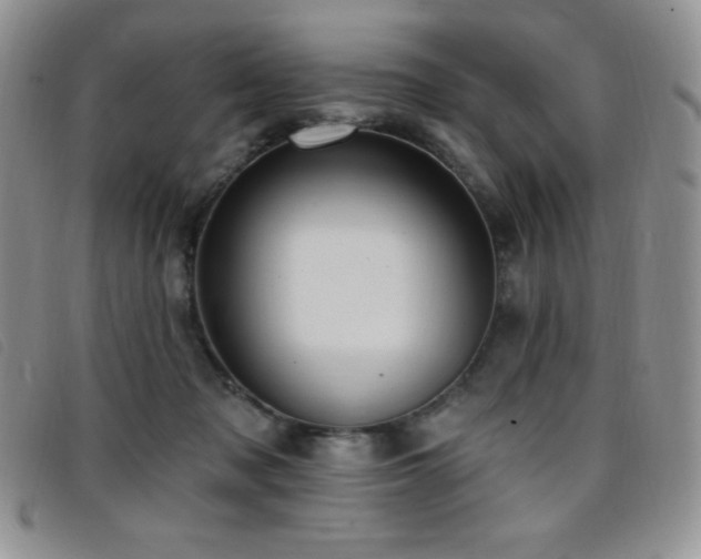 X0000096680317200802051251
