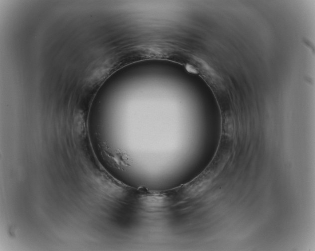 X0000096680318200802051251