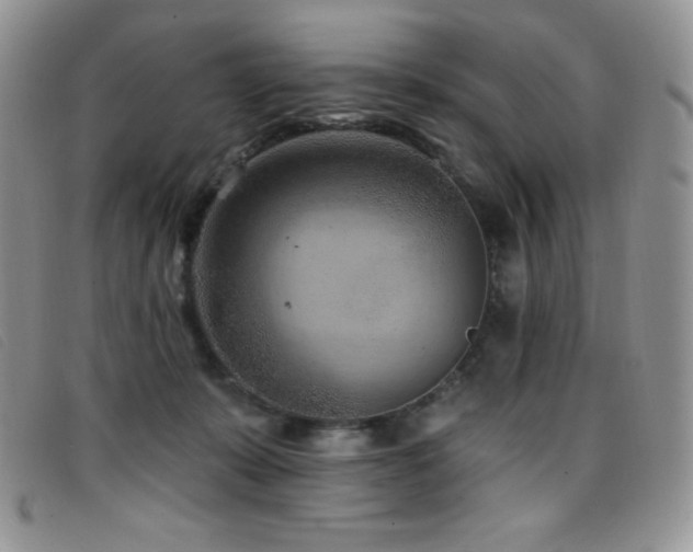 X0000096680319200802051251