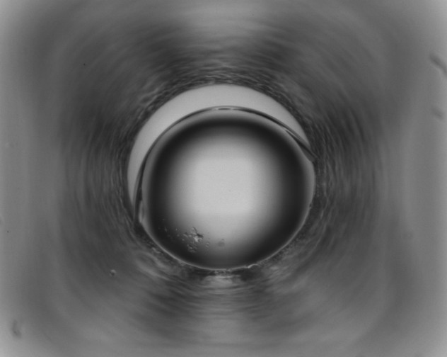 X0000096680320200802051251