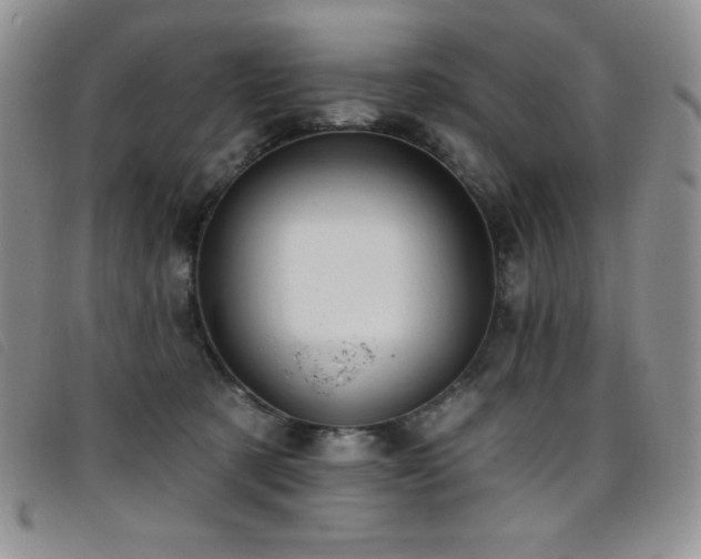 X0000096680321200802051251