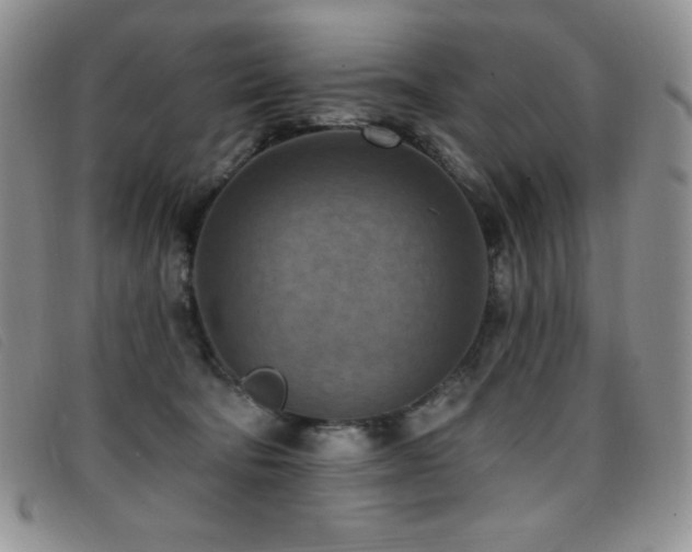 X0000096680322200802051251