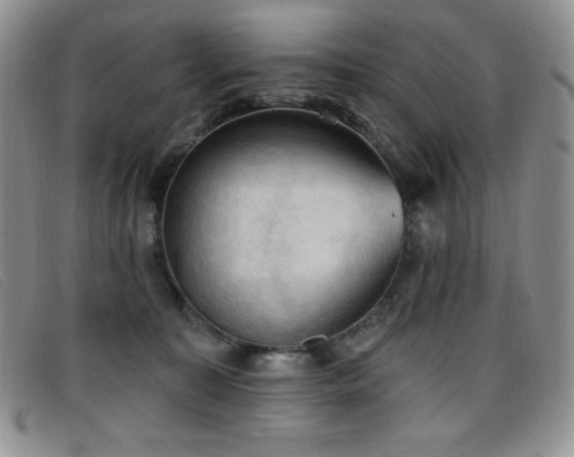 X0000096680323200802051251