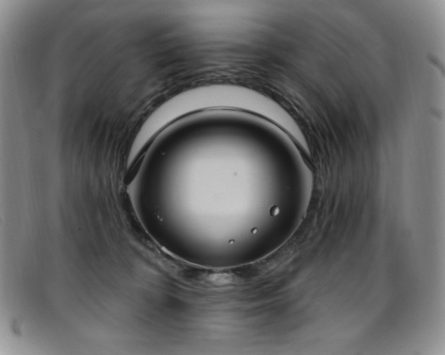 X0000096680324200802051251