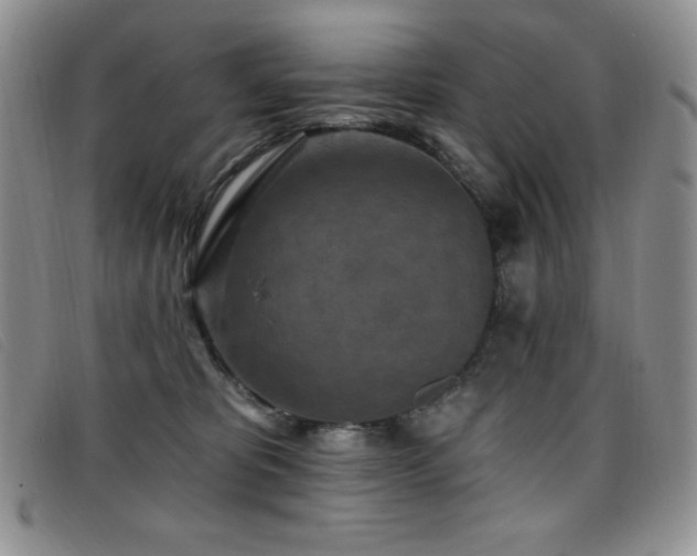 X0000096680325200802051251