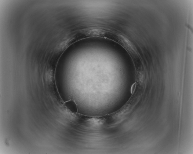X0000096680326200802051251