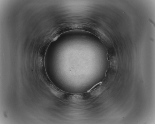 X0000096680327200802051251