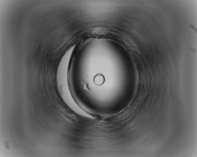 X0000096680328200802051251