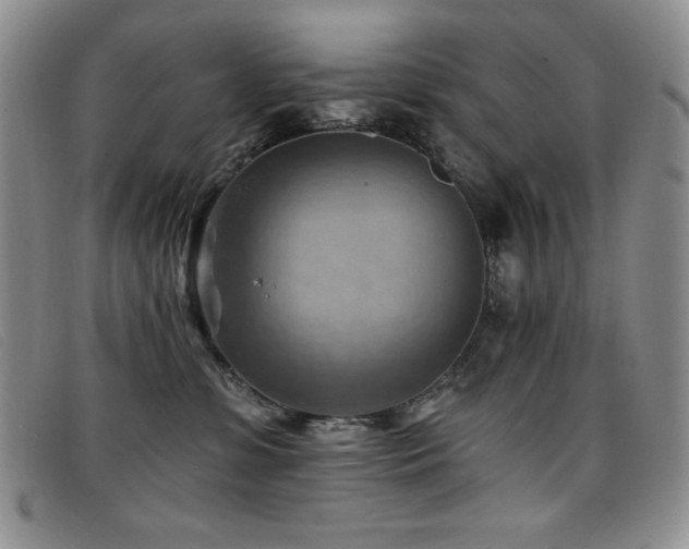 X0000096680331200802051251