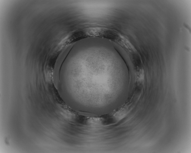 X0000096680332200802051251